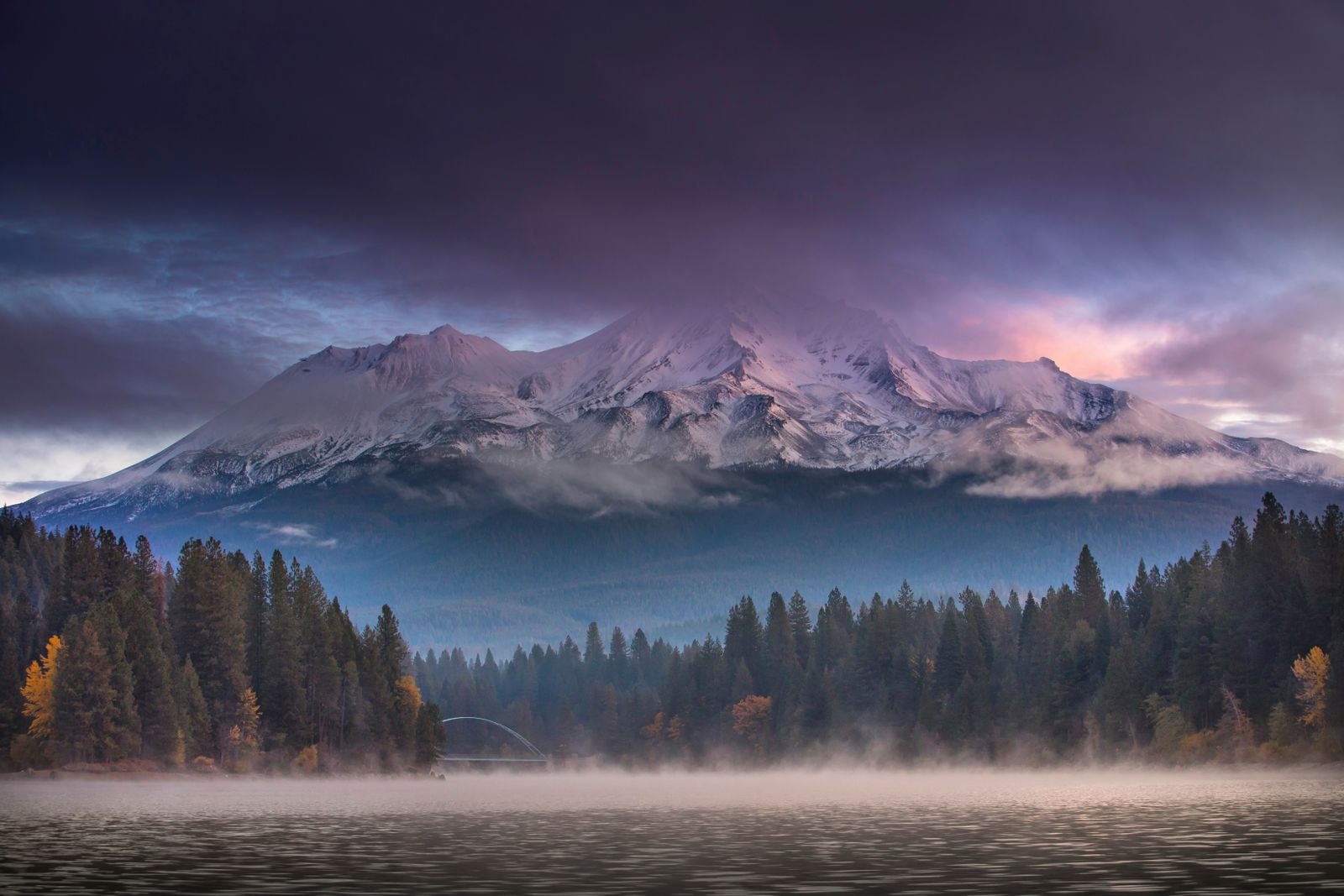Mount Shasta rising above a misty conifer forest under a heavy sky