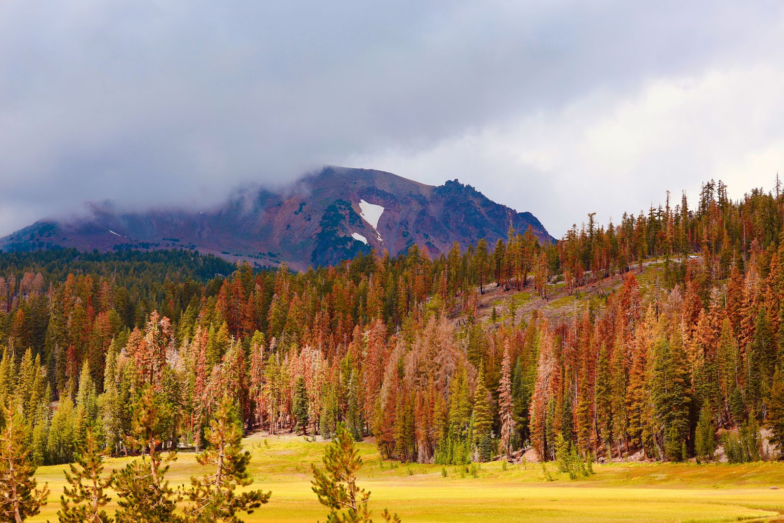 Autumn colour along a road in Lassen Volcanic National Park